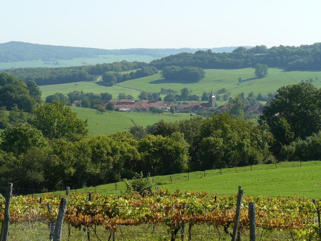 Cosy Country. Access To Burgundy/Lorraine/Alsace Villa Graffigny-Chemin Exterior photo