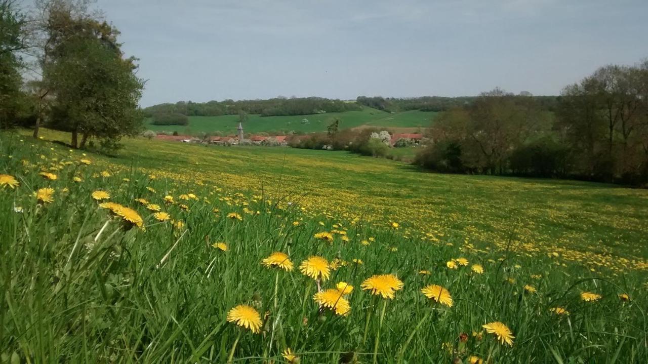 Cosy Country. Access To Burgundy/Lorraine/Alsace Villa Graffigny-Chemin Exterior photo